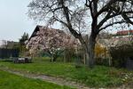 Etagenwohnung Alsdorf - 5 Zimmer, 110 m&sup2;, 1.030&euro; | Angebot:26316643