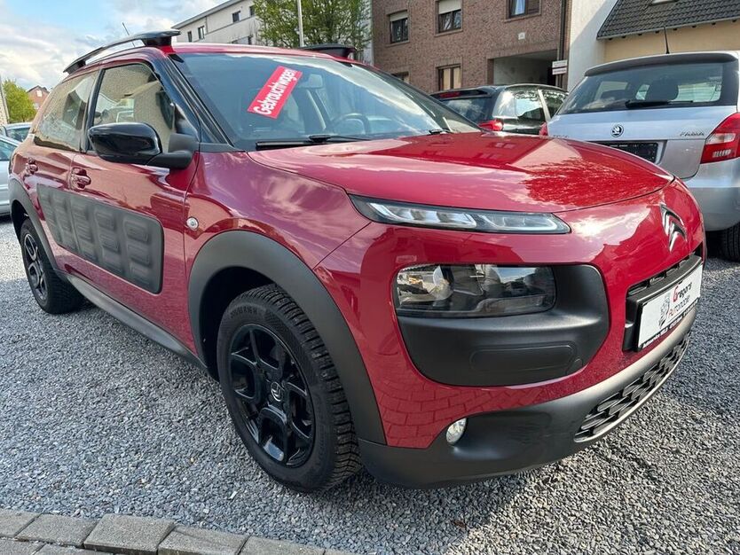 C4 Cactus