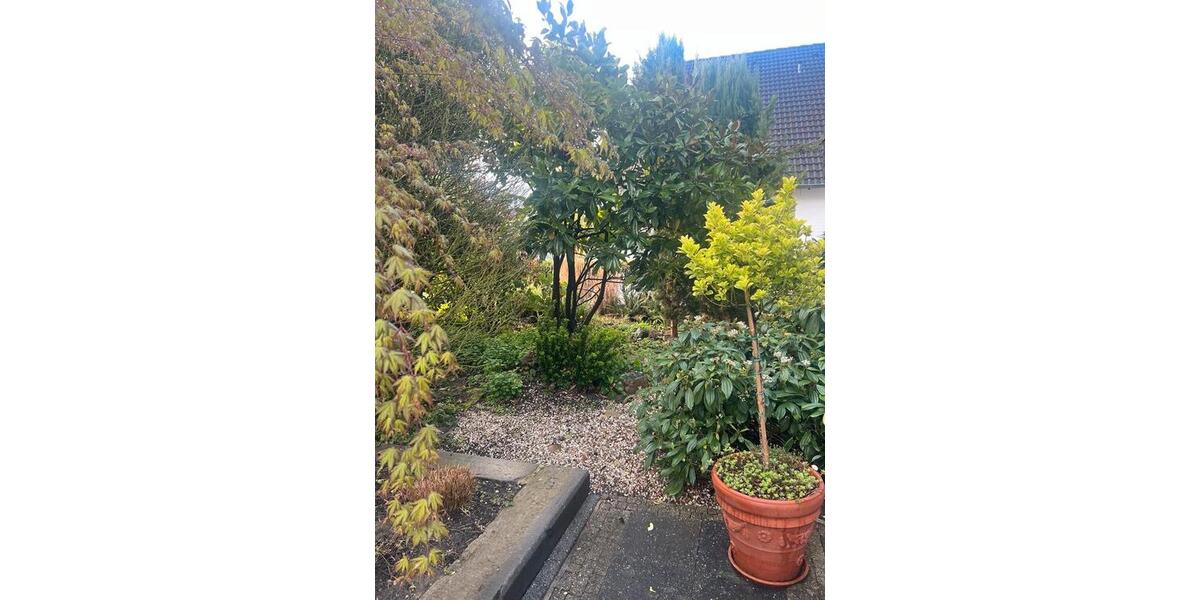 Einfamilienhaus Übach-Palenberg Palenberg - 7 Zimmer, 175 m&sup2;, 495.000&euro; | Angebot:26231165