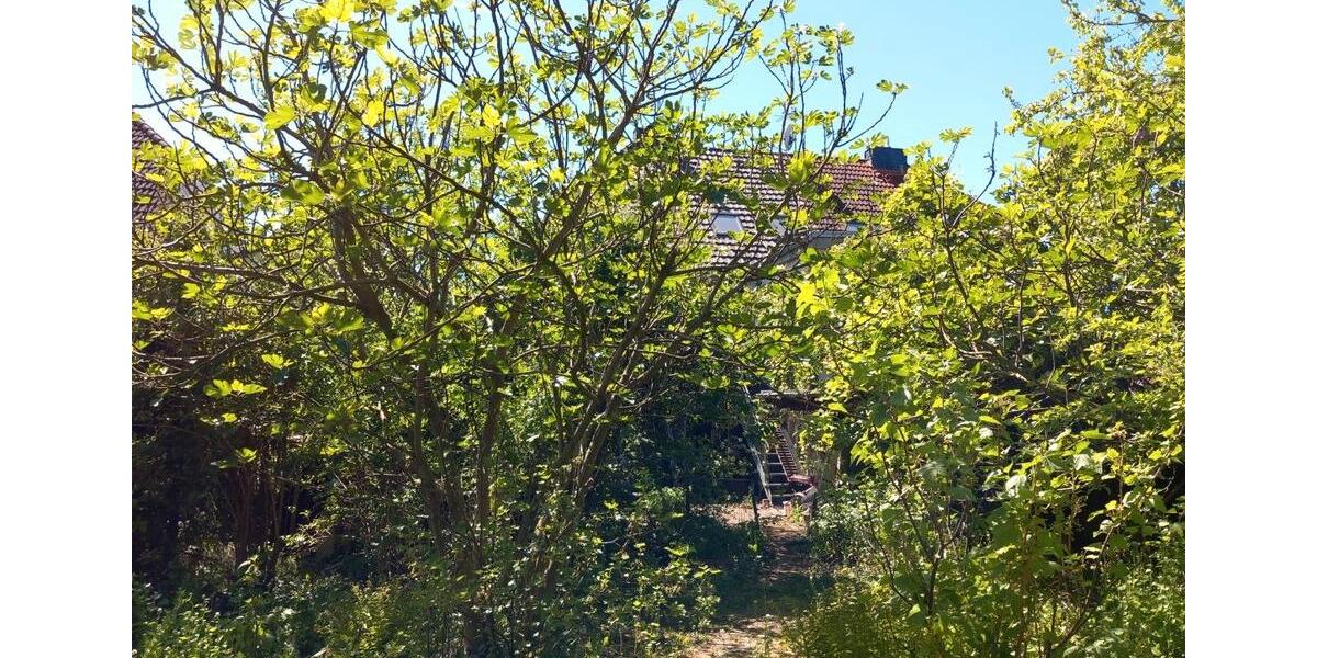 Doppelhaushälfte Würselen - 8 Zimmer, 155 m&sup2;, 343.000&euro; | Angebot:26865155