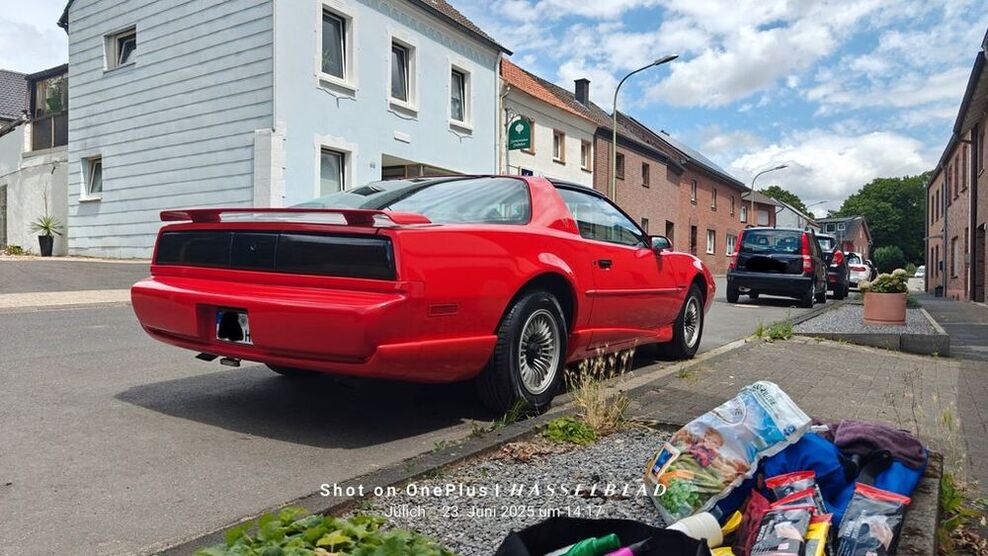 Firebird