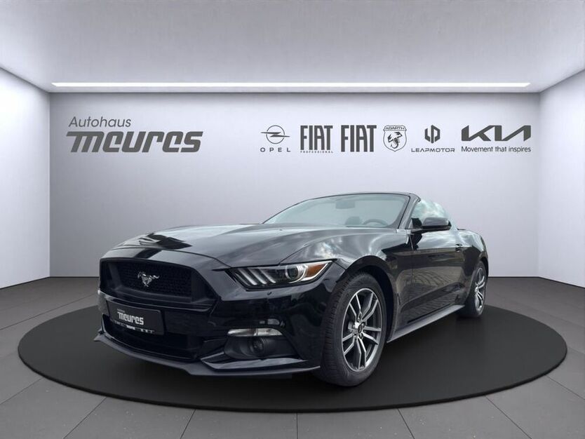 Mustang