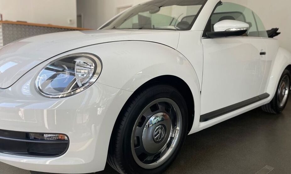 Beetle
