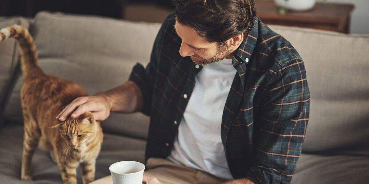 Einfamilienhaus Monschau - 6 Zimmer, 123 m&sup2;, 285.399&euro; | Angebot:25358213