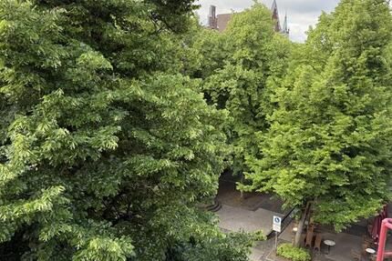 Großzügige AltstadtWohnung mit Charme über den Dächern von Aachen