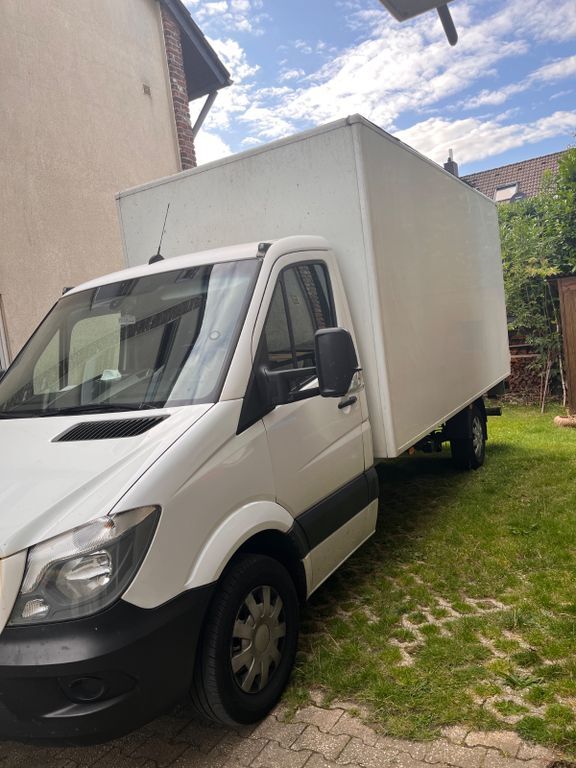 Sprinter