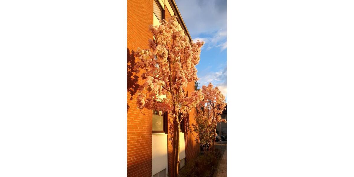 Etagenwohnung Aachen Aachen-Mitte - 1.5 Zimmer, 48 m&sup2;, 175.000&euro; | Angebot:26889625