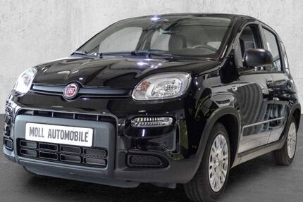 Fiat Panda 9.900 km 11.950 &euro; Aachen 52078