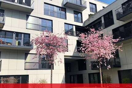 Wohnung Aachen-Mitte Mitte - 2 Zimmer, 49 m&sup2;, 739&euro; | Angebot:26904358