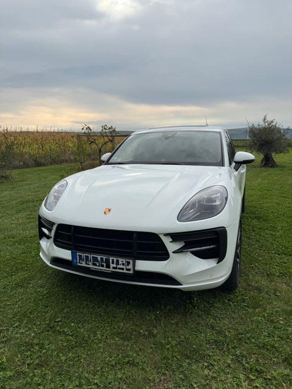 Macan
