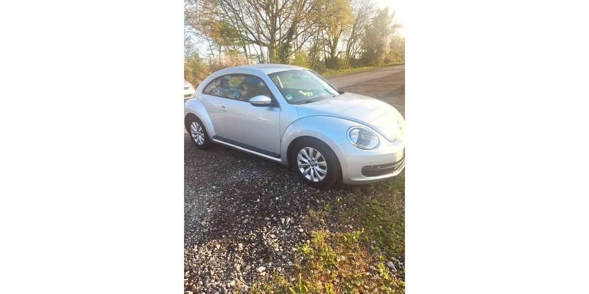 VW Beetle 132.000 km 7.300 € Stolberg 52222
