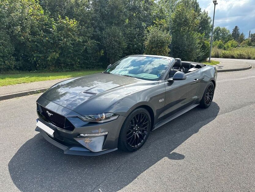 Mustang