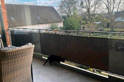 Wohnung Kreuzau - 4 Zimmer, 106 m&sup2;, 1.250&euro; | Angebot:26250356