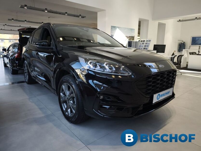 Kuga