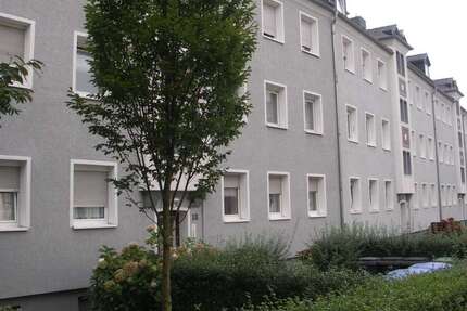 Wohnung zum Mieten in Düren 282,60 € 56.17 m² 2 zimmer