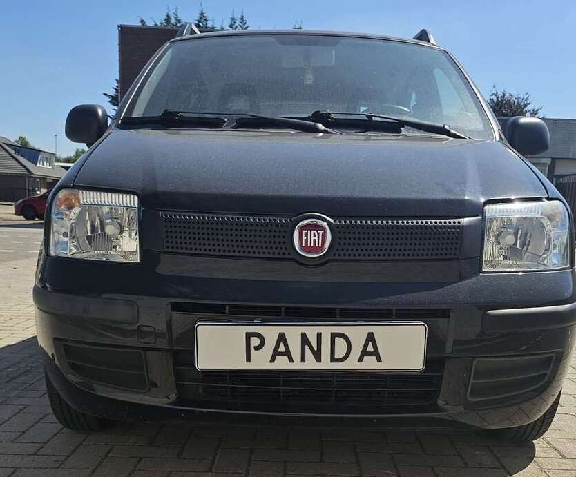 Panda