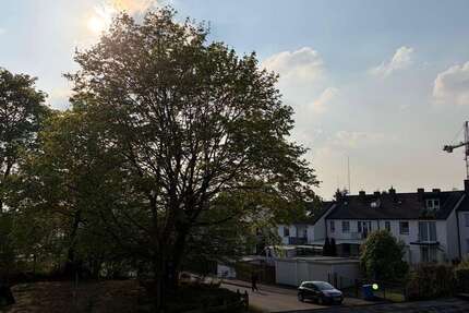 Wohnung Düren Grüngürtel - 2 Zimmer, 60 m&sup2;, 610&euro; | Angebot:26460466
