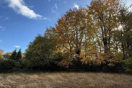 Baugrundstück in Roetgen: ca. 1560 m² mit schöner Aussicht ins Grüne zimmer