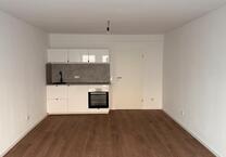 Sanierte helle 1-Zimmer-Wohnung im Frankenberger Viertel