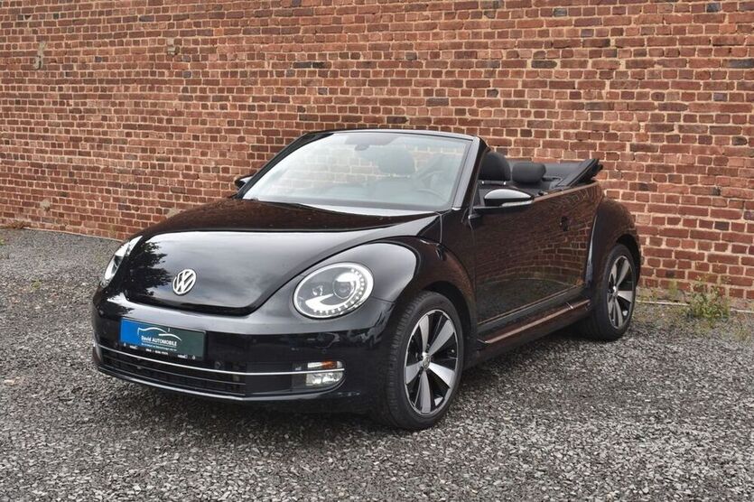 Beetle