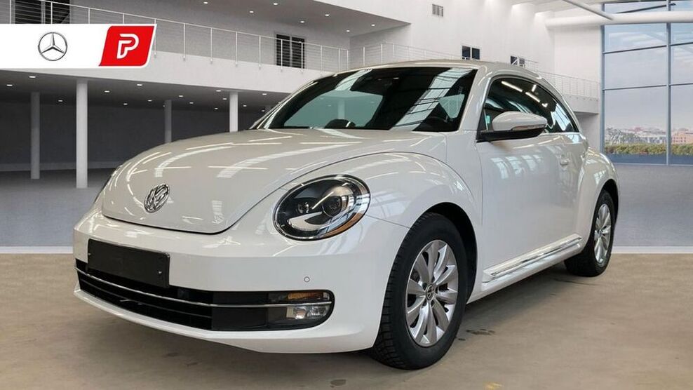 Beetle
