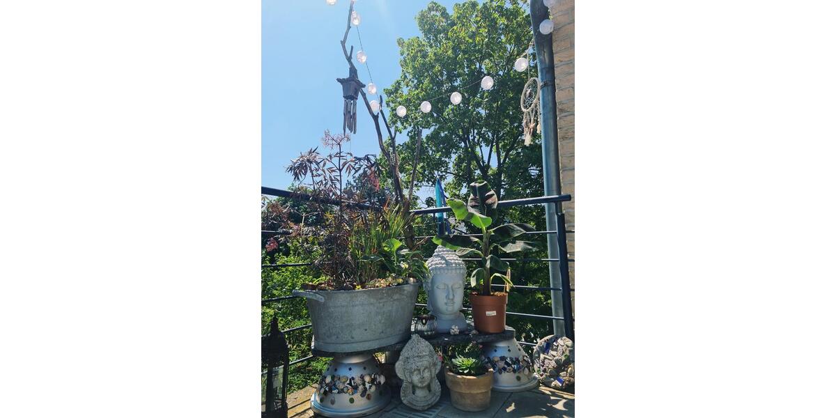 Helle 2 12 Zimmerwohnung Innenstadt 2 zimmer