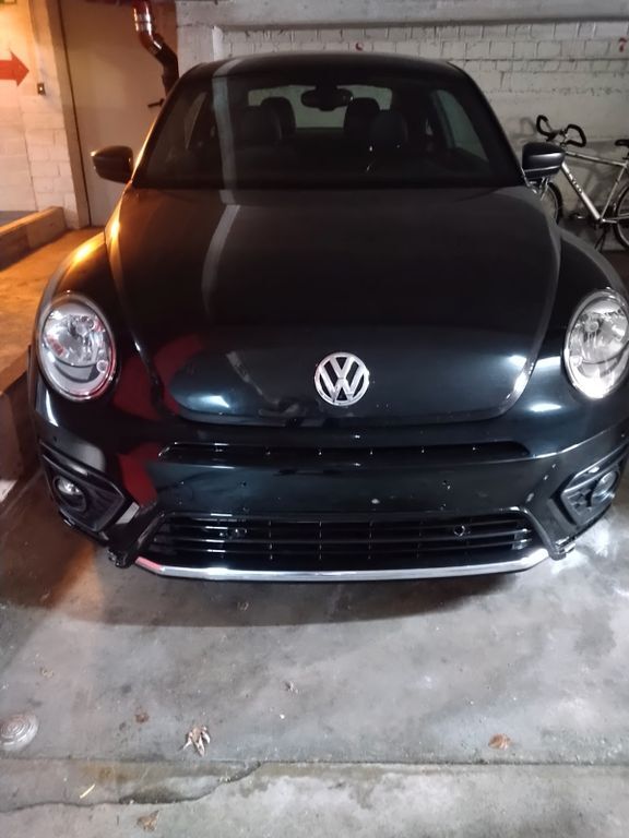 Beetle
