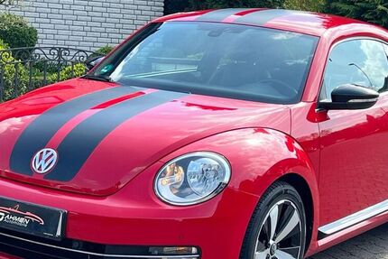 VW Beetle