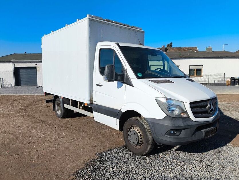 Sprinter
