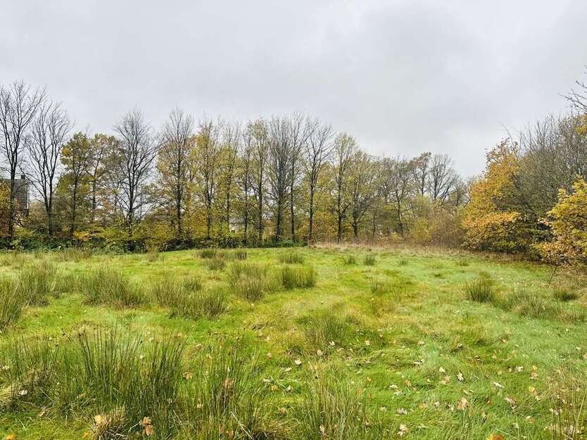 Grundstück zu verkaufen in Roetgen 190.000 € 1491 m²