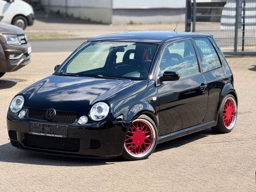 Lupo