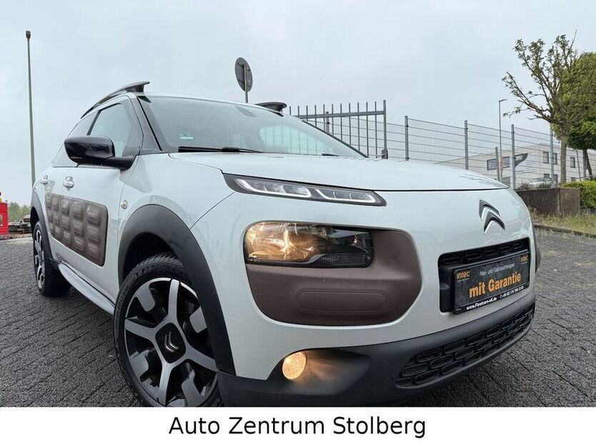 C4 Cactus