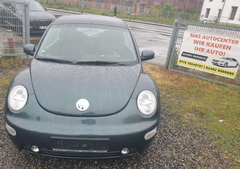 New Beetle