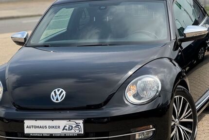 VW Beetle
