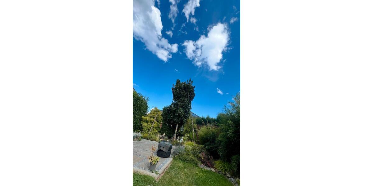 Einfamilienhaus Niederzier - 549.000&euro; | Angebot:23728600