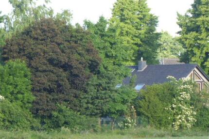 Ruhiges Wohnen in der Natur zimmer