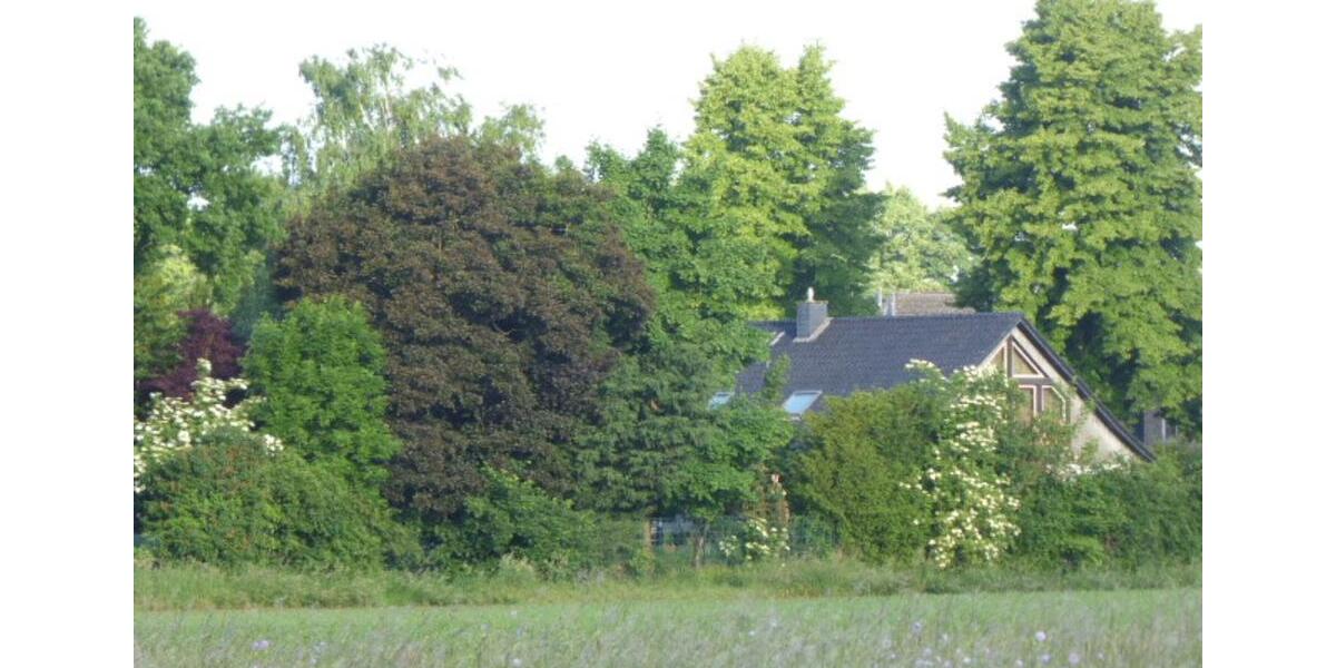 Ruhiges Wohnen in der Natur zimmer