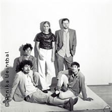 Dota - Springbrunnen - Tour 2026 16.12.2025 Musikbunker Aachen e.V.