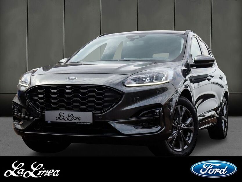 Kuga