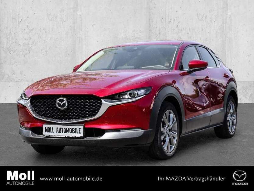 CX-30