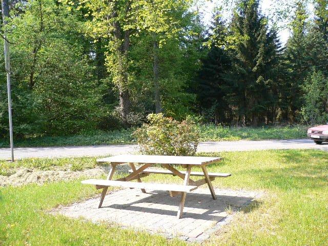 Dachgeschoßwohnung Roetgen - 2.5 Zimmer, 52 m&sup2;, 460&euro; | Angebot:26441284
