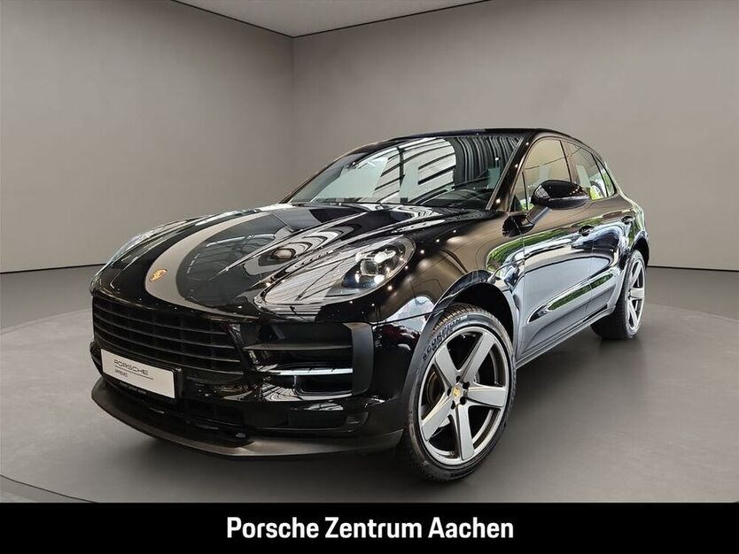 Macan