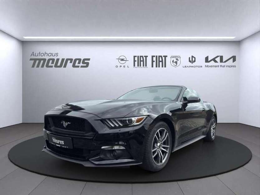 Mustang