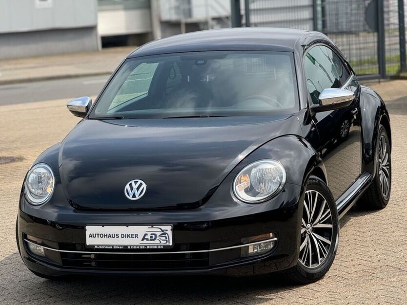Beetle