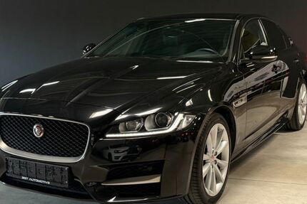 Jaguar XF 43.000 km 26.900 € Jülich 52428