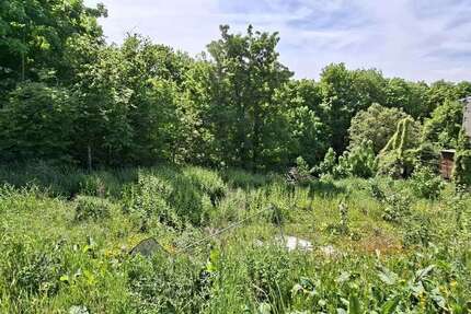 Grundstück zu verkaufen in Nideggen 159.000 € 785 m² zimmer