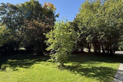 Großes Grundstück in Roetgen: 1.041 m² mit Entwicklungsperspektive in ruhiger Lage zimmer