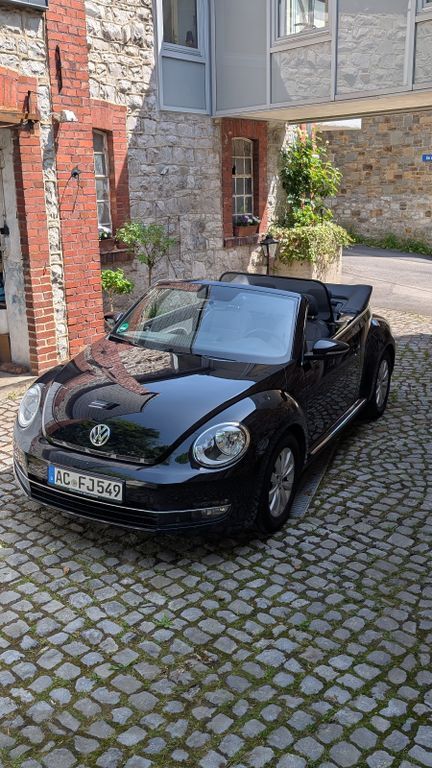 Beetle