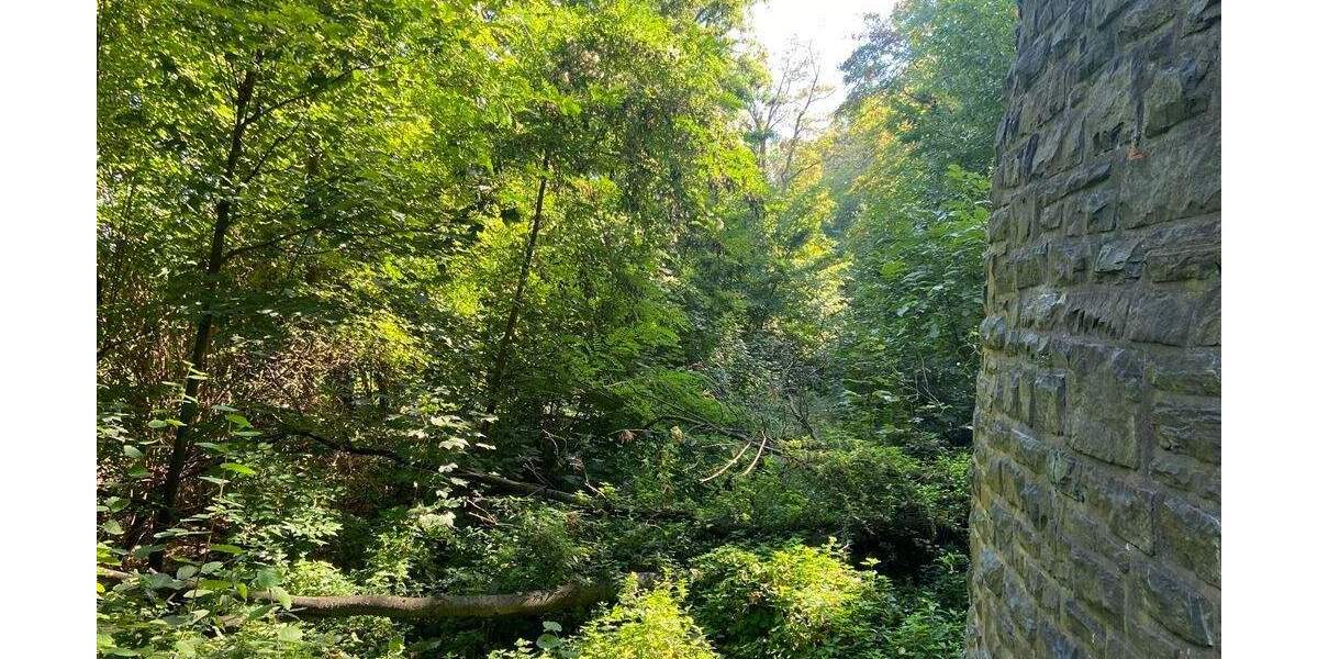 Grundstück Linnich - 1.500.000&euro; | Angebot:25746878