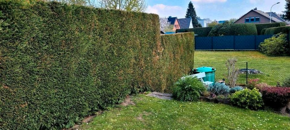 Erdgeschoßwohnung Eschweiler - 3 Zimmer, 91 m&sup2;, 289.000&euro; | Angebot:26208028